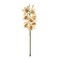 Cream Cymbidium Orchid Stem - 12-Pack, Real Touch Blooms, Elegant Floral Décor, Perfect for Arrangements, Events & Home - Ideal for All Seasons, Floral Home by Artificial Flowers